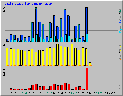 Daily usage for January 2019