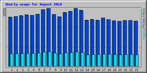 Hourly usage for August 2018