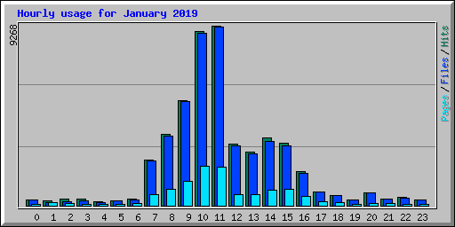 Hourly usage for January 2019