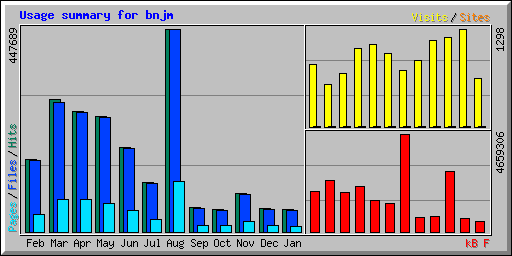 Usage summary for bnjm